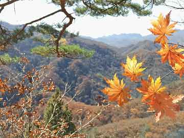 平顶山室外草坪灯安装-草坪灯的安装要求安装尺寸